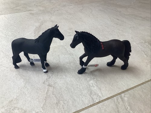 Male and female horses - and,