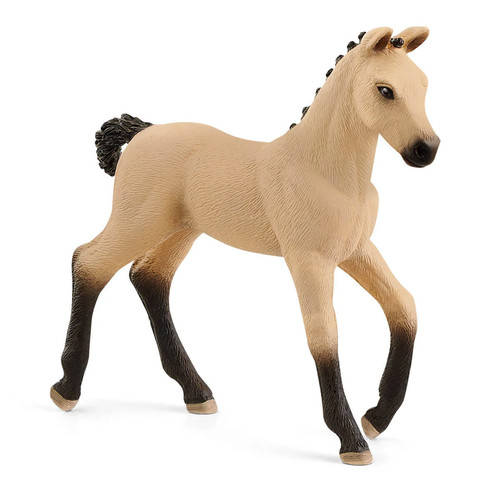 Schleich hanoverian foal - hanoverian,